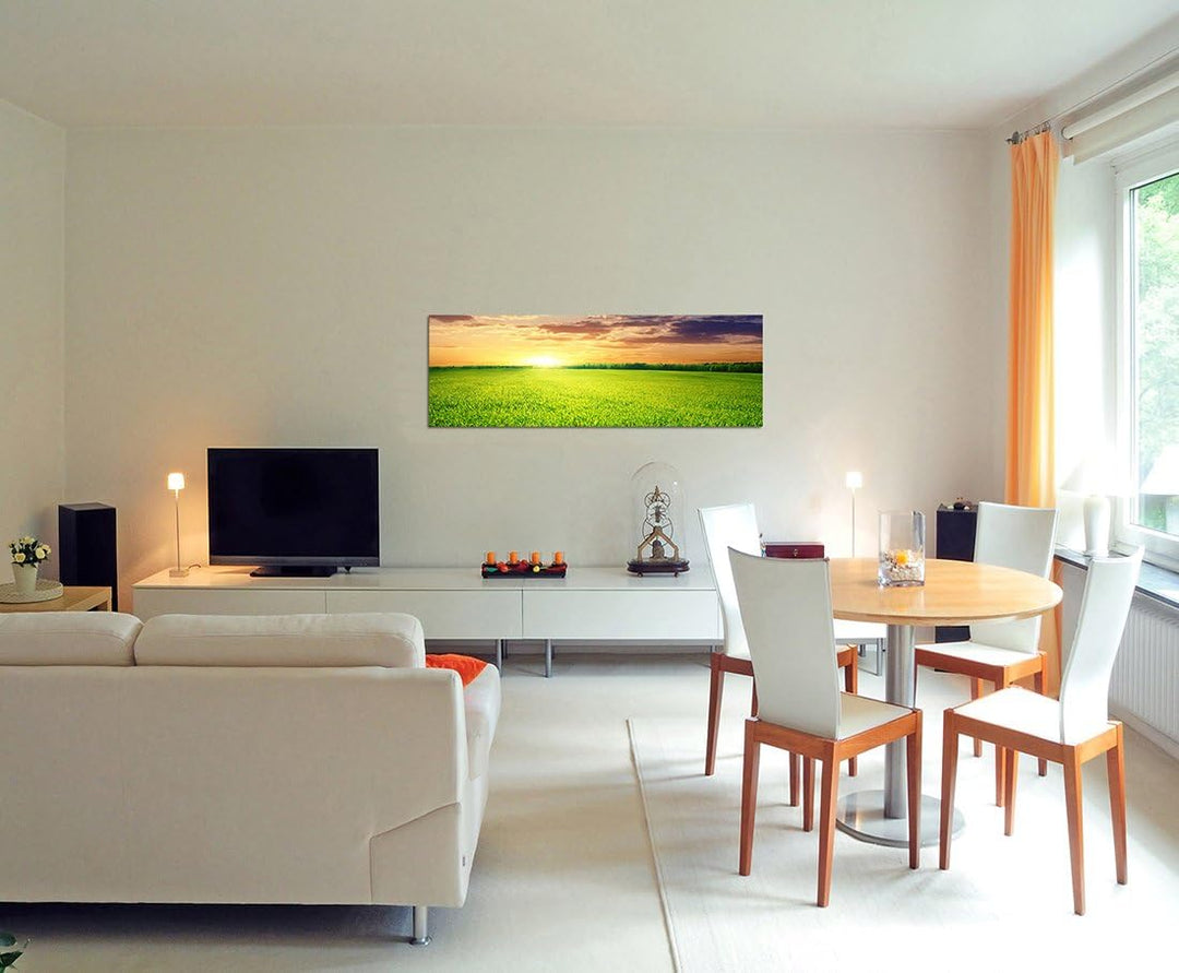 Paul Sinus Art Panoramabild auf Leinwand und Keilrahmen 120x40cm Wiese Feld Sonnenuntergang Wolken