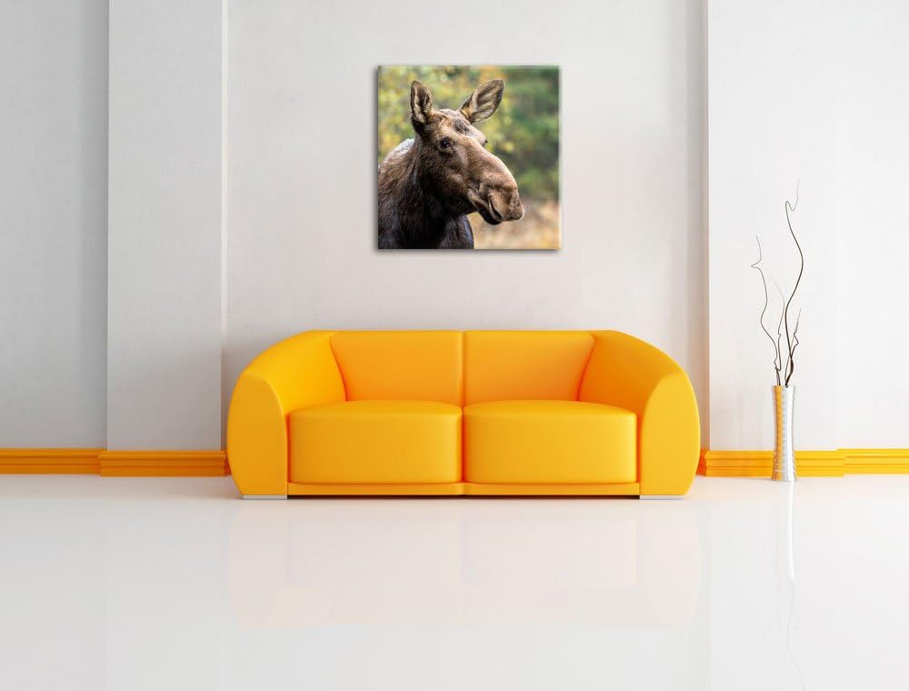 Pixxprint Elch im Wald, Format: 70x70 auf Leinwand, XXL riesige Bilder fertig gerahmt mit Keilrahmen