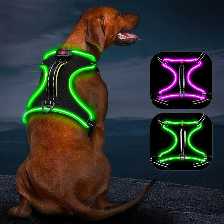 Hundegeschirr Leuchtend Wiederaufladbares Leuchtgeschirr für Hunde Led Beleuchtetes Hundegeschirr fü