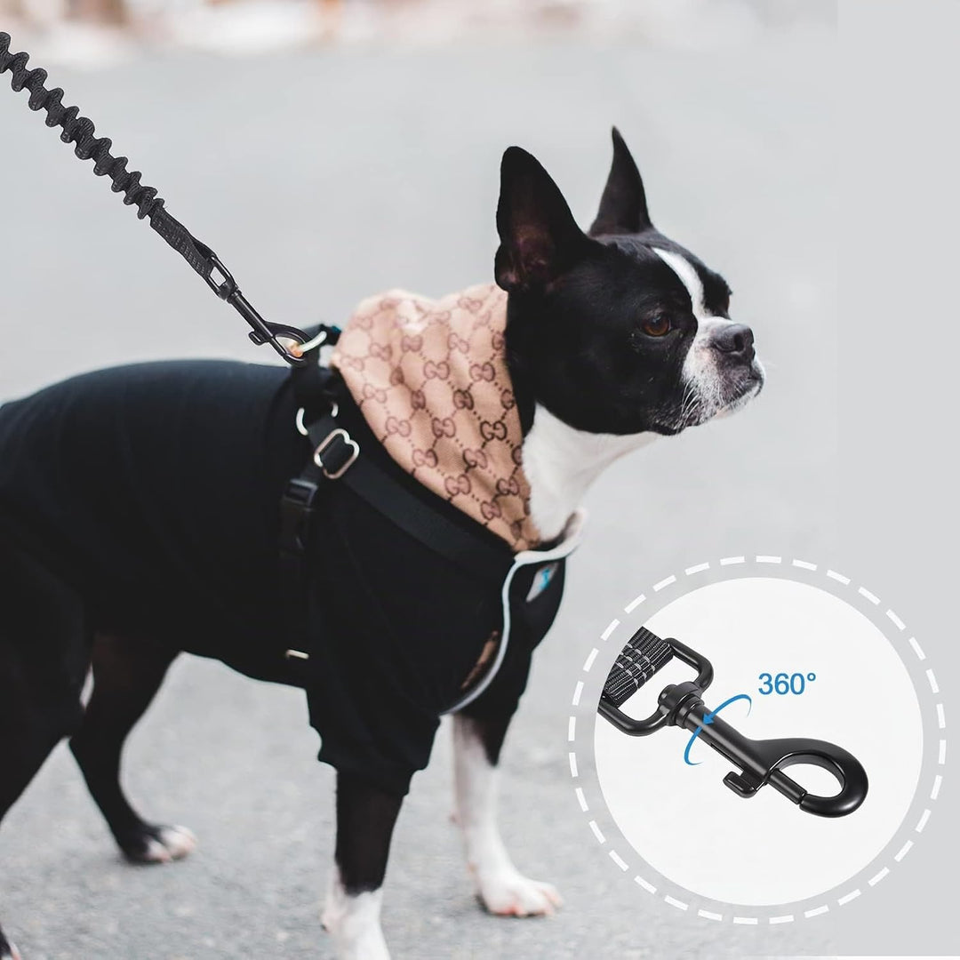 Snocyo Joggingleine Hunde, Jogging Hundeleine für Mittelgrosse und Grosse Hunde, Elastische und Refl