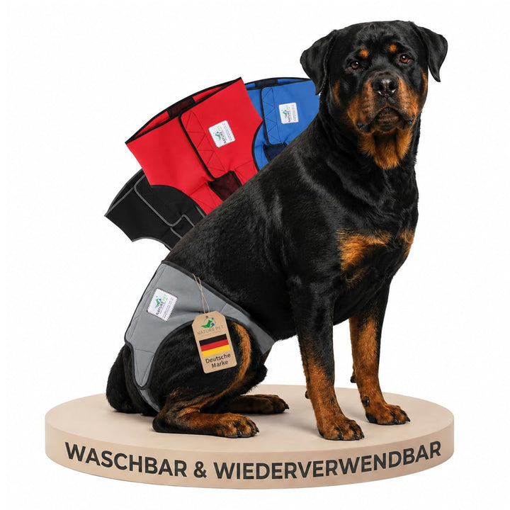 Läufigkeitshose für Hündinnen 2.0 - Hundewindeln aus hochwertigem perforiertem Neopren für einen opt
