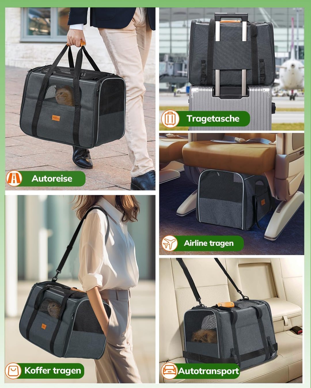 Morpilot Katzentransportbox für grosse Katzen und Welpen bis 7kg, Katzenbox Hundetasche mit Sicherhe