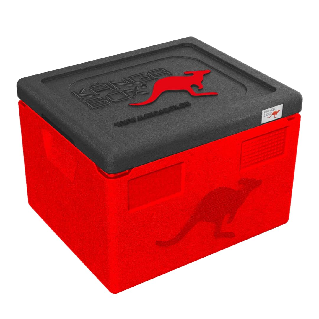 Expert GN 1/2 – Thermobox für Gastronomie & Catering – Perfekt für GN-Behälter 32,5x26,5cm – Ultrale