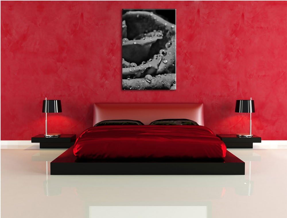 Pixxprint Tropfen auf roter Rose als Leinwandbild/Grösse: 100x70 cm/Wandbild/Kunstdruck/fertig bespa