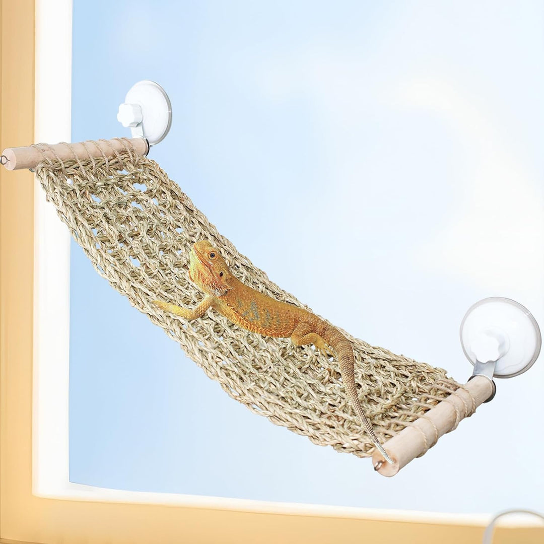 FlidRunest 54,9 x 19,8 cm Seegras Bartdrache Hängematte für Fenster, grosse Eidechse Fensterstange,