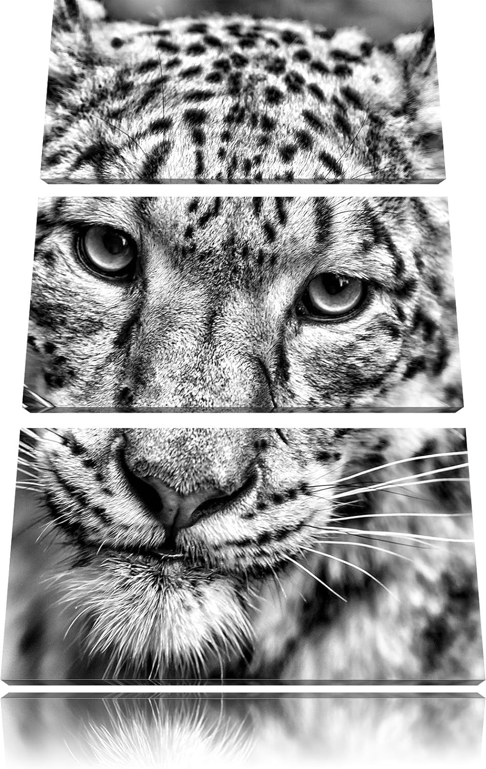 Pixxprint eleganter Schneeleopard als Leinwandbild/Grösse: 3 Teilig (120x80) cm/Wandbild/Kunstdruck/