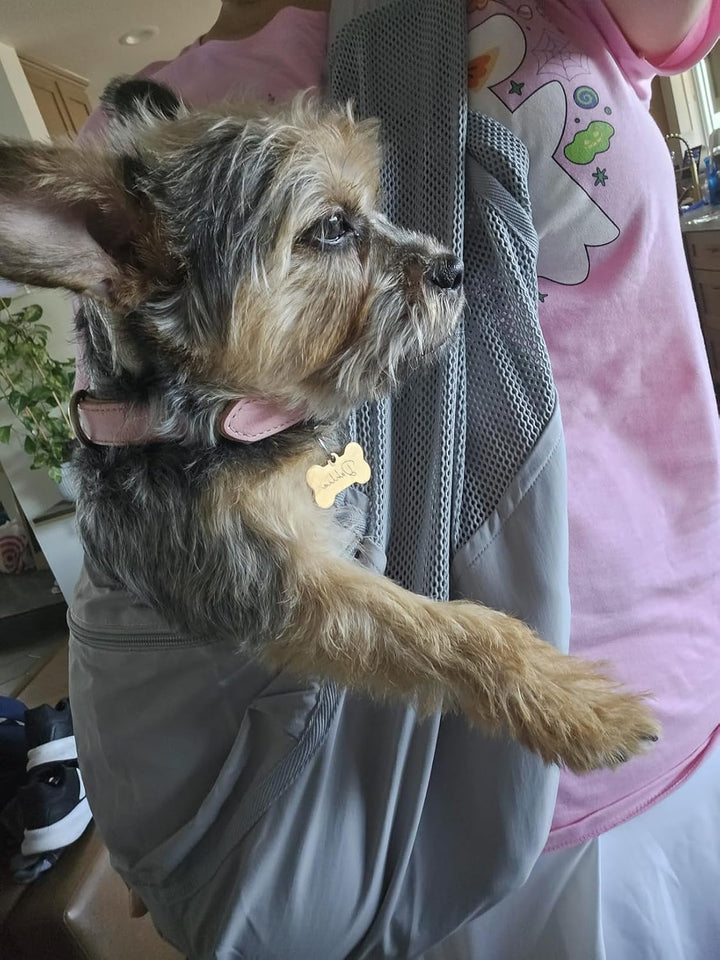 NATUYA Tragetasche für kleine Hunde – leichte und Bequeme, atmungsaktive Netz-Haustiertasche für Wel