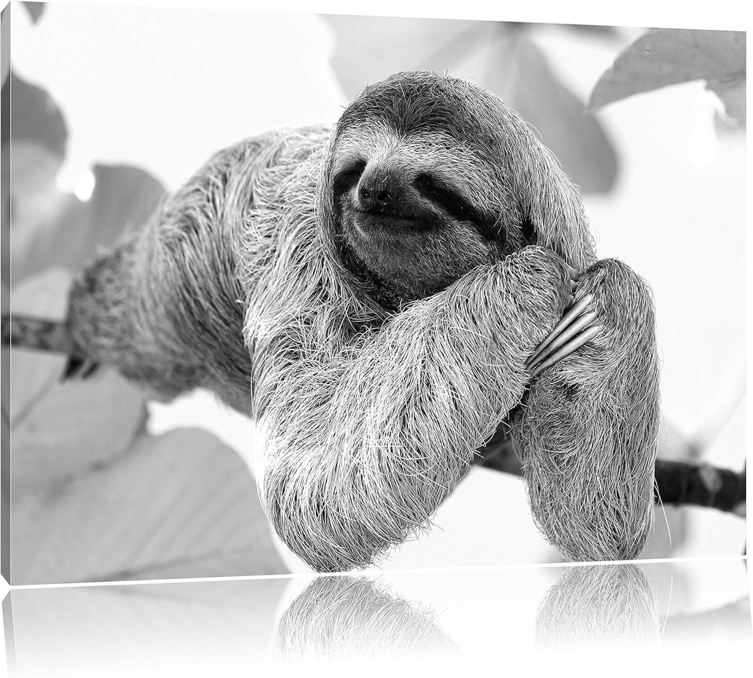 Pixxprint Faultier hängt von AST als Leinwandbild/Grösse: 100x70 cm/Wandbild/Kunstdruck/fertig bespa