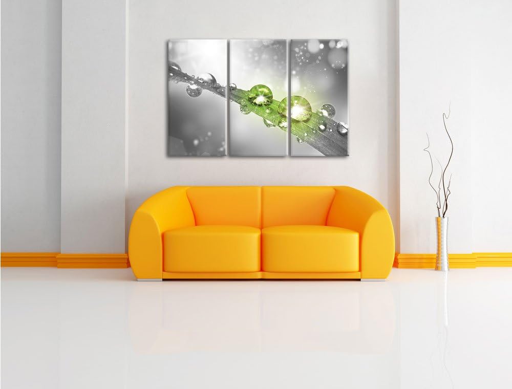 Pixxprint Wassertropfen auf Grashalm B&W Detail 3-Teiler Leinwandbild 120x80 Bild auf Leinwand