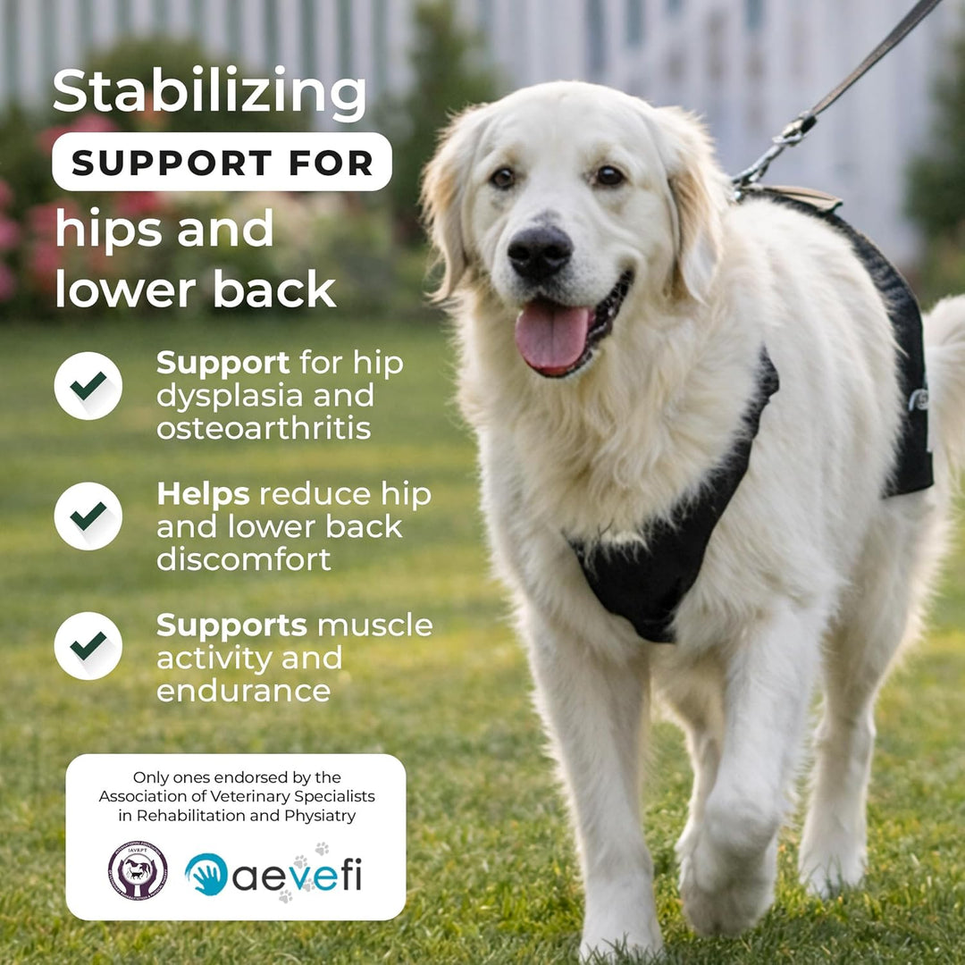 Ortocanis - Hüftorthese für Hunde - Hüftdysplasie, Hüftschmerzen oder Lokalisierten Arthrose - Stabi