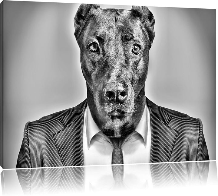 Pixxprint Manager Hund mit Anzug als Leinwandbild/Grösse: 100x70 / Wandbild/Kunstdruck/fertig bespan