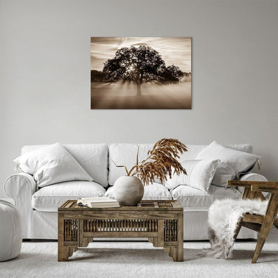 Bilder auf Leinwand Baum Feld Natur Leinwandbild mit Rahmen 70x50cm Wandbilder Dekoration Wohnzimmer