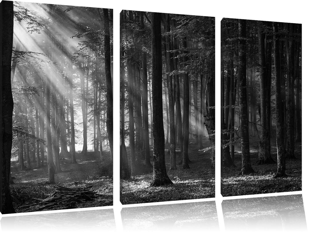 Pixxprint Märchenwald / 3-Teilig/Gesamtmass 120cm Leinwandbild bespannt auf Holzrahmen/Wandbild Kuns
