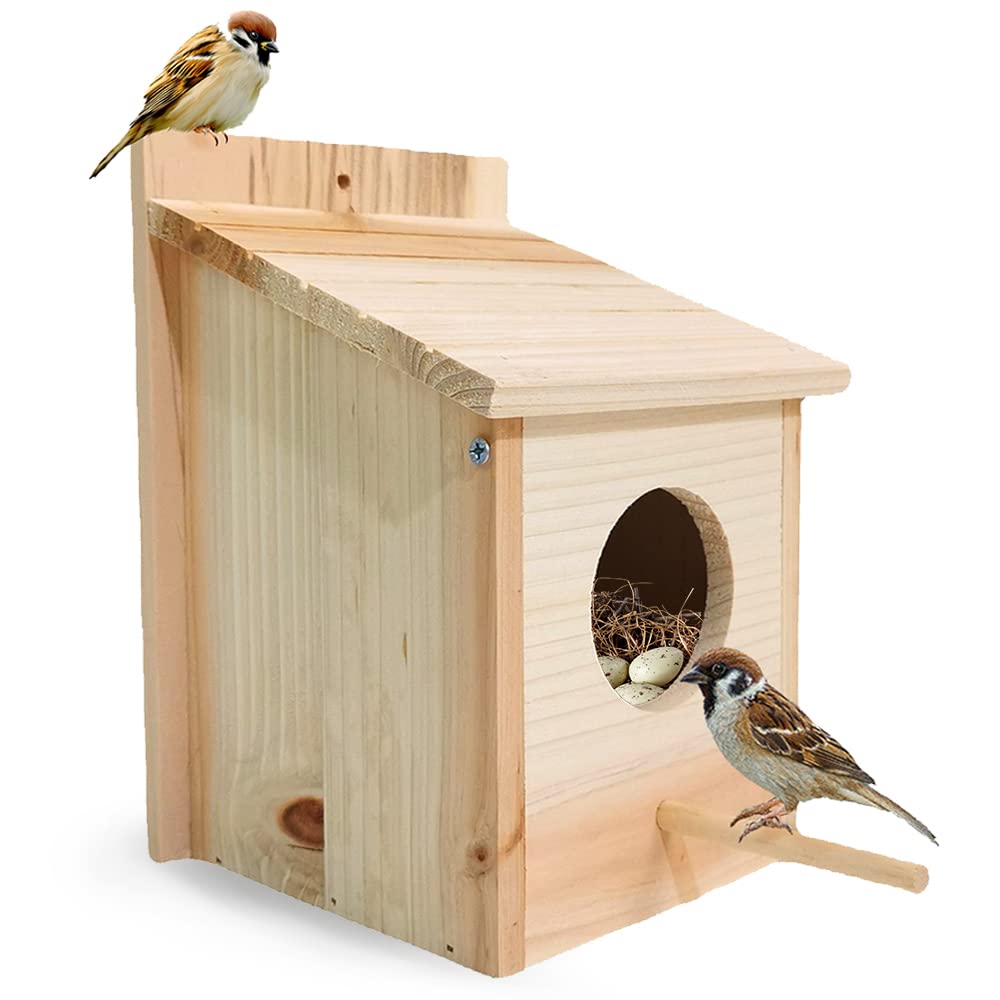 Nistkasten Bausatz Rotkehlchen, Nistkasten für Meise, Vogelhaus Wetterfest aus Holz, Vogelhäuschen Z