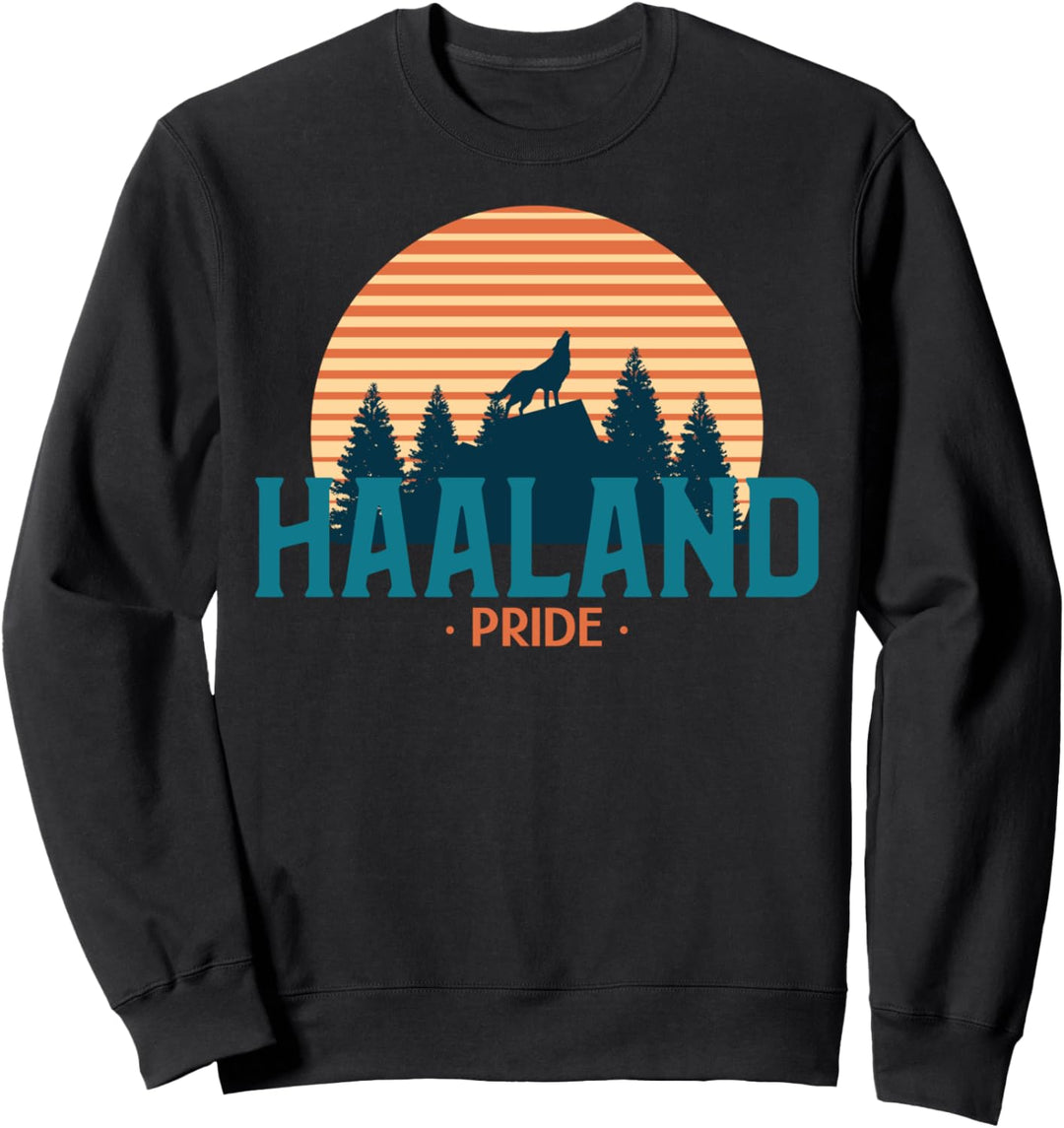 HAALAND PRIDE ERSTES KABINETT DER AMERIKANISCHEN UREINWOHNER IM WEISSEN HAUS Sweatshirt