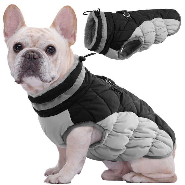 Kuoser Hundejacke Hundemantel für Kleine Hunde Winterweste, Wasserdicht Hunde Wintermantel Jacke Win