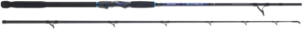 AQUANTIC Salt Shad Halibut Spin, Meeresrute vom Boot, 24-Tonnen-Carbon-Blank, SIC-Ringe, Eva-Griff,