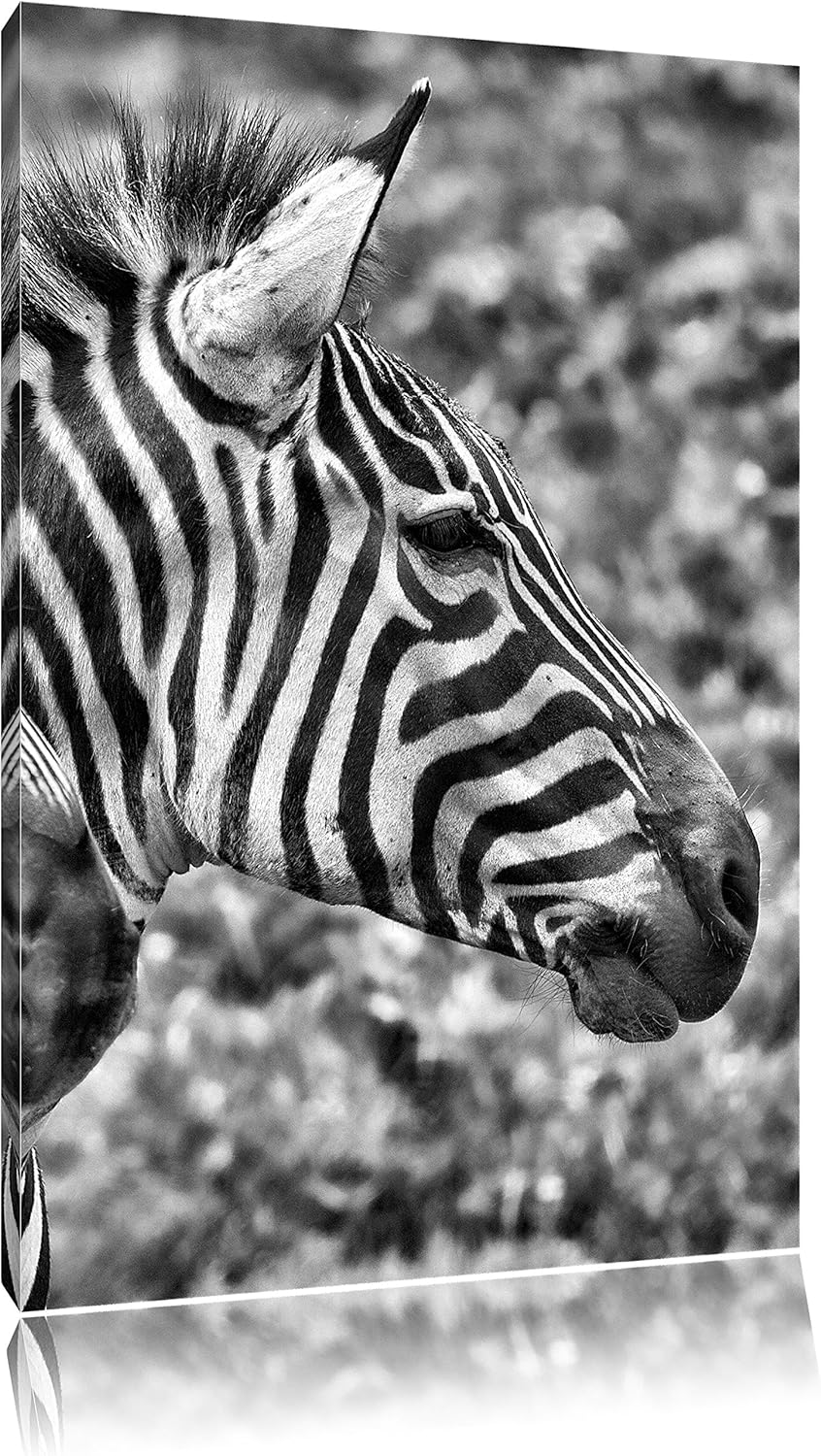 Pixxprint Monocrome, schönes Zebrapaar, Format: 100x70 auf Leinwand, 100x70