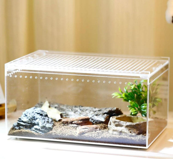 Durchsichtige Reptilienaufzuchtbox, Acryl Reptilienfutterbox, Futterbox Für Insekten Reptilien Vogel