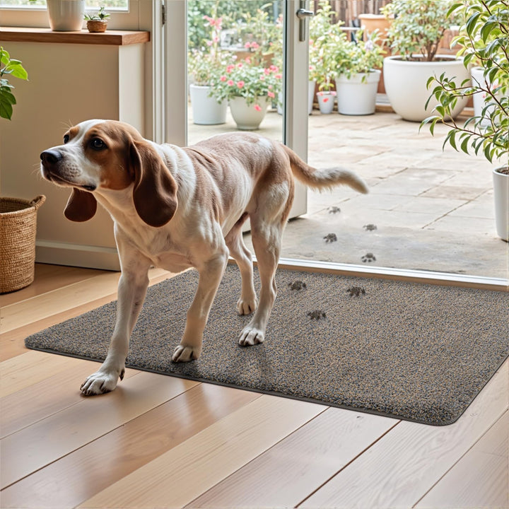 DEXI Fussmatte Innen 120 x 180 cm, rutschfeste Schmutzfangmatte, Maschinenwaschbare Fussmatte, Saugs