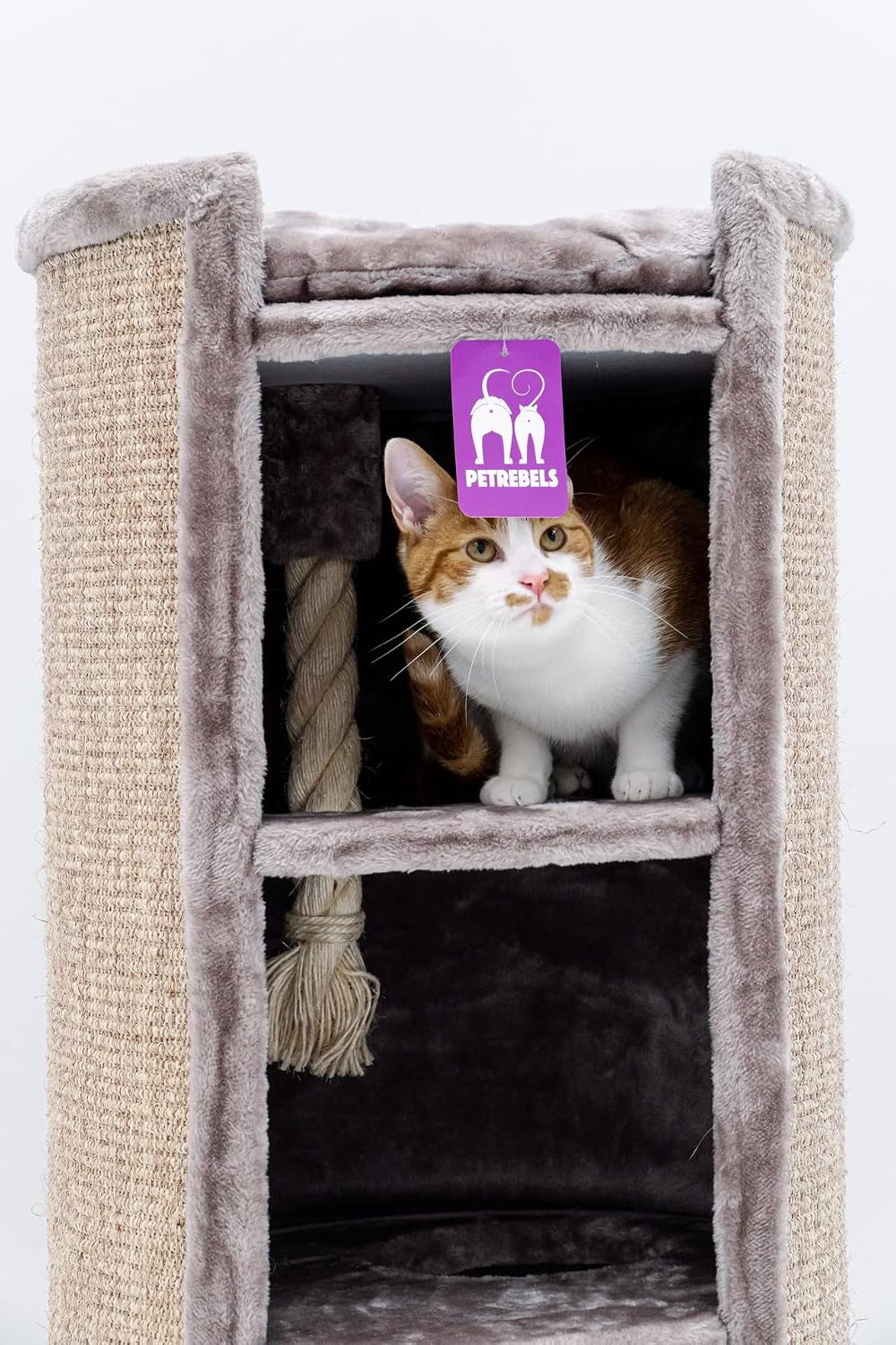 Petrebels XXL Kratztonne für grosse Katzen, Superdome 100 cm, Cappuccino | extrem stabil, Ø 50 cm Br