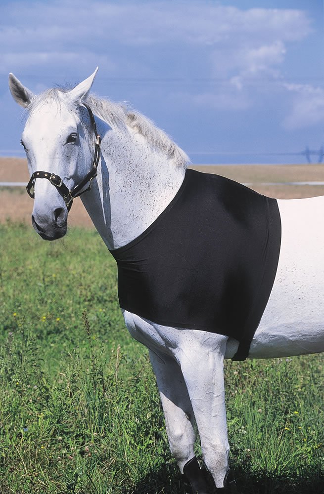 Equi-Theme/Equit'M Grösse S Schwarz, Grösse S Schwarz