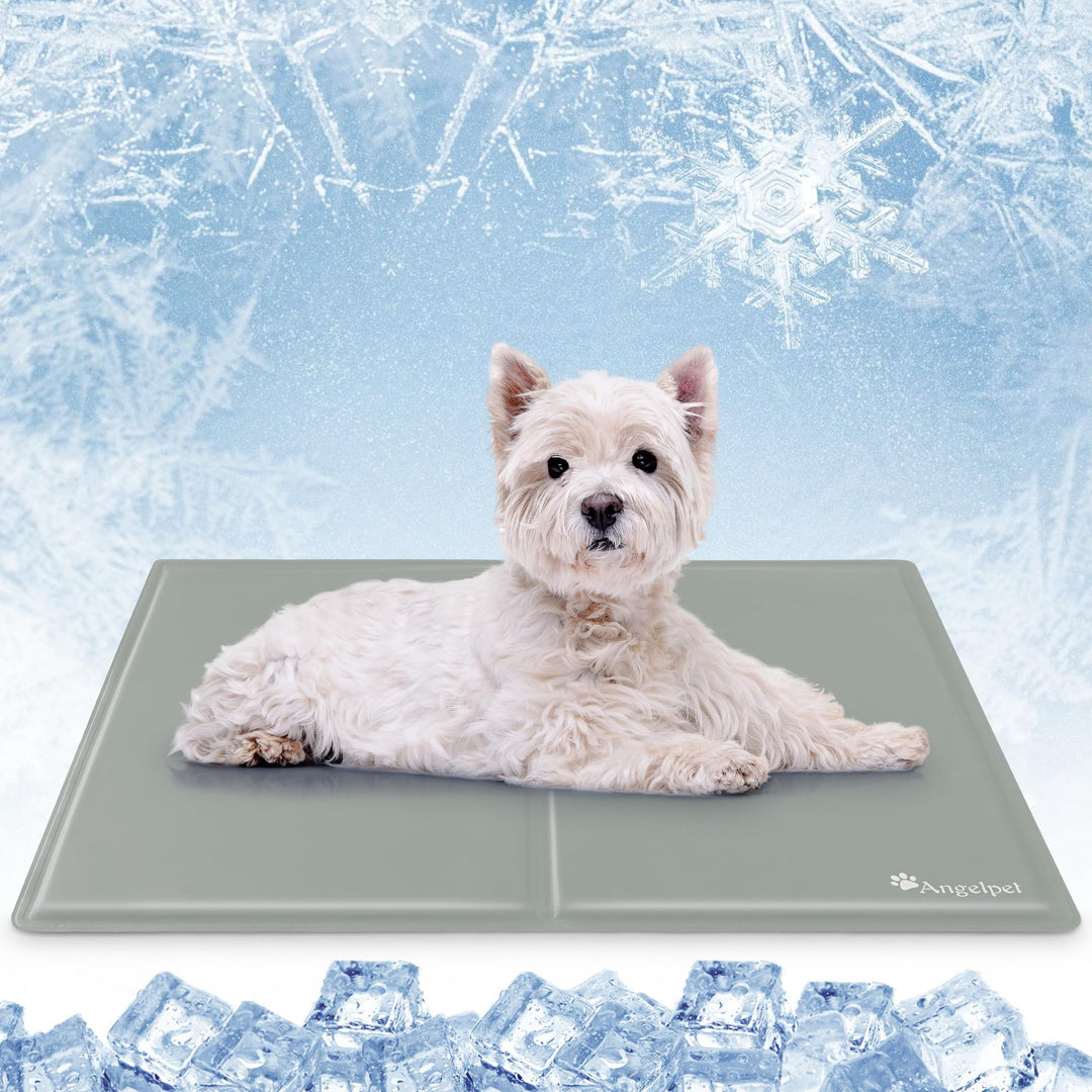 Angelpet Kühlmatte Hund, M 65x50cm – Ungiftige Selbstkühlende Gelmatte Bett, Langlebige wasserdichte