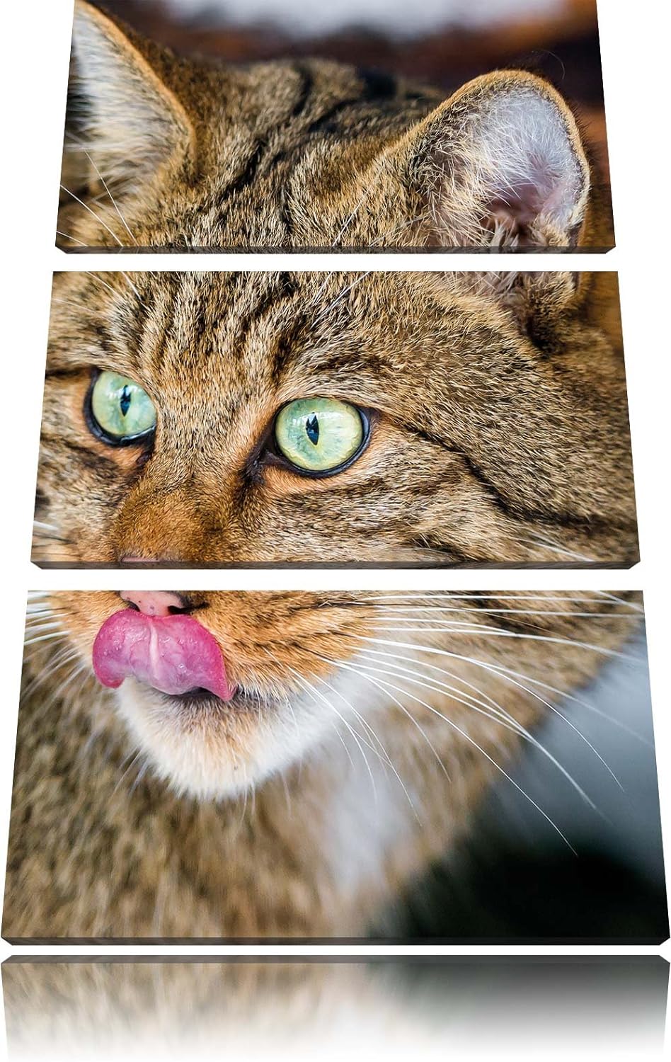 Pixxprint schöne Manul in Schneelandschaft als Leinwandbild/Grösse: 3 Teilig (120x80) cm/Wandbild/Ku