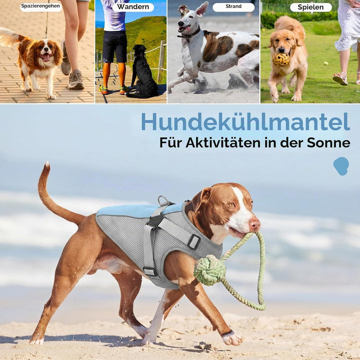 Kühljacke Hund mit Geschirr, Atmungsaktiv Hundekühlweste Kühlendes Hundegeschirr Dog Cooling Vest, H