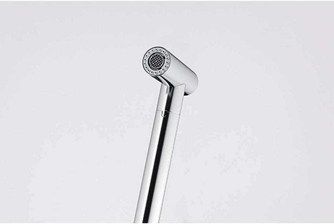 Franke 115.0625.188 ICON PULL-OUT SPRAY Einhebelmischer, Silver