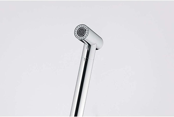 Franke 115.0625.188 ICON PULL-OUT SPRAY Einhebelmischer, Silver