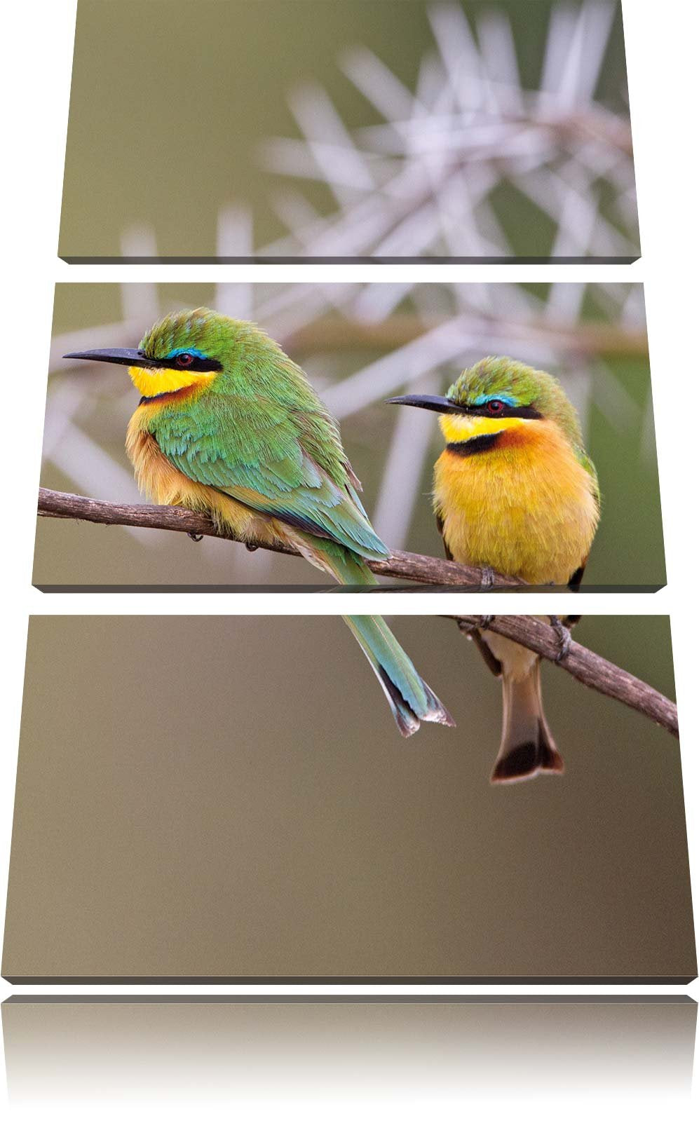 Pixxprint Vögel auf AST als Leinwandbild/Grösse: 3 Teilig (120x80) cm/Wandbild/Kunstdruck/fertig bes