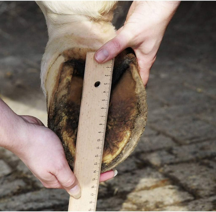 HKM 79559100.1410 Hufschuh, schwarz 7 Braun, 7 Braun