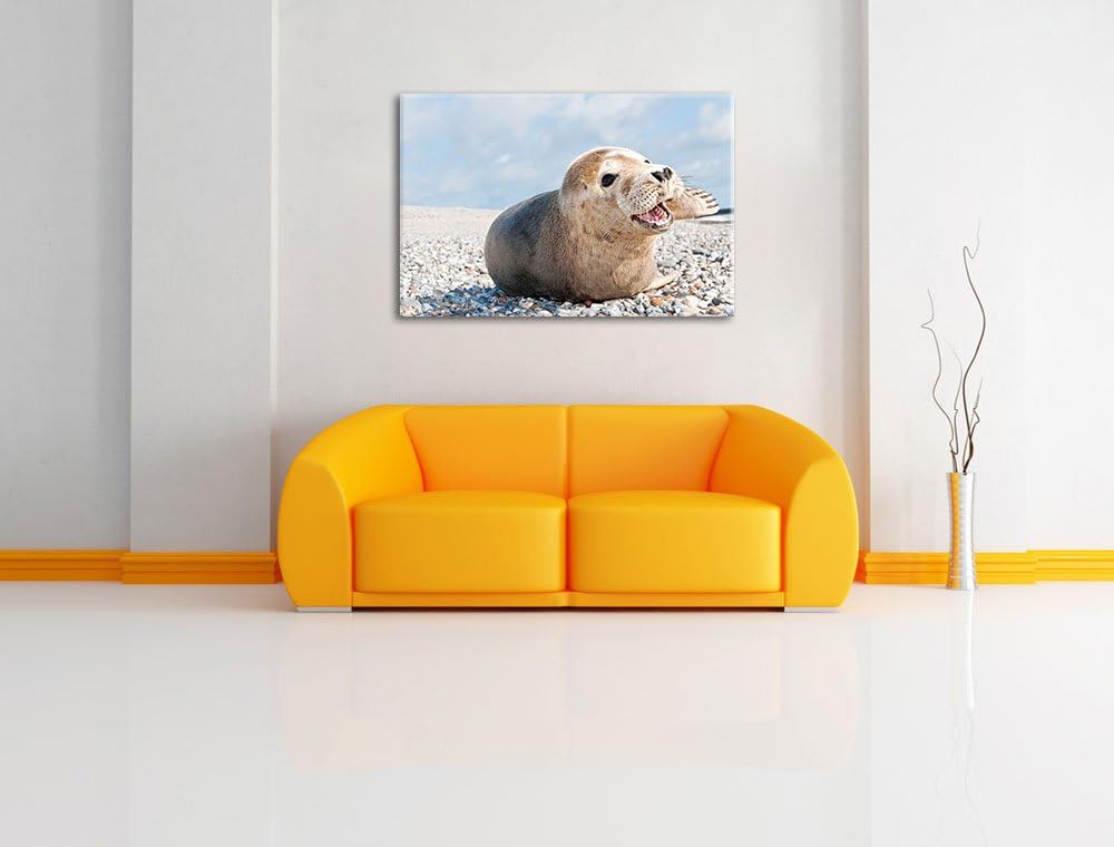 Süsse Robbe auf Steinstrand Format: 100x70 auf Leinwand, XXL riesige Bilder fertig gerahmt mit Keilr