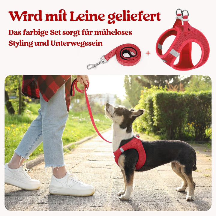 rabbitgoo Hundegeschirr Kleine Hunde mit Leine, Step-in Welpengeschirr Weich Mesh für Spaziergänge,