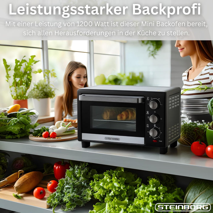 Mini Backofen 15 Liter Pizza-Ofen 3in1 Backofen Minibackofen Miniofen Krümelblech Ober-/Unterhitze E