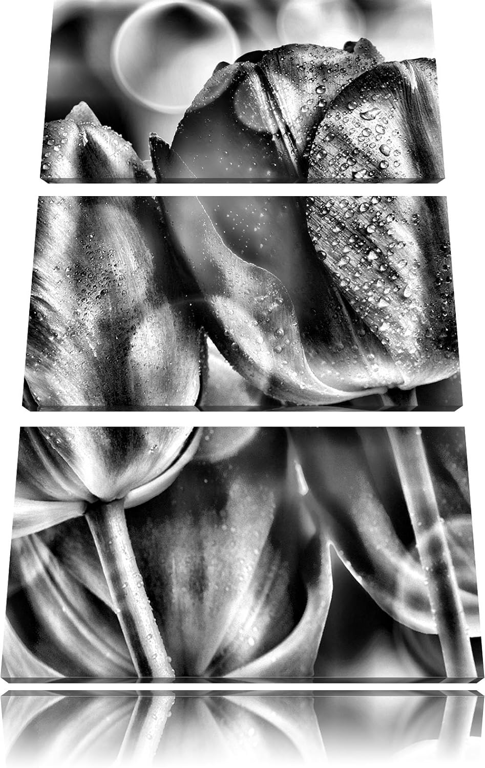 Pixxprint Rote Tulpen als Leinwandbild/Grösse: 3 Teilig (120x80) cm/Wandbild/Kunstdruck/fertig bespa