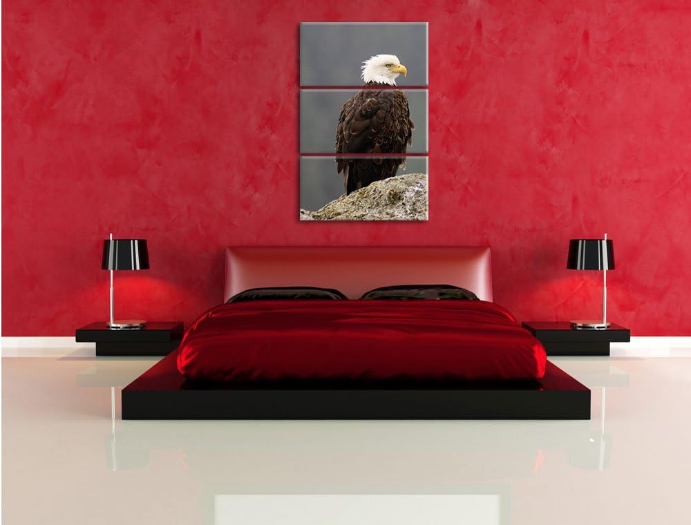 Pixxprint wachsamer Adler auf Fels als Leinwandbild/Grösse: 3 Teilig (120x80) cm/Wandbild/Kunstdruck