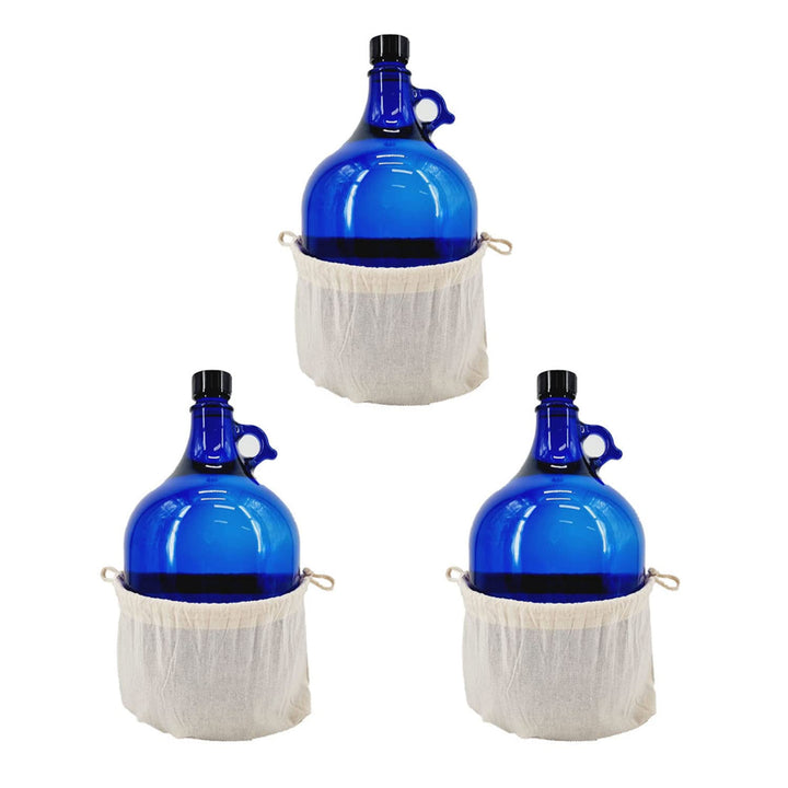 Albert's Premium Selection 5 Liter Henkelflasche/Glasballon, blau, inkl. Deckel und Baumwollbeutel (
