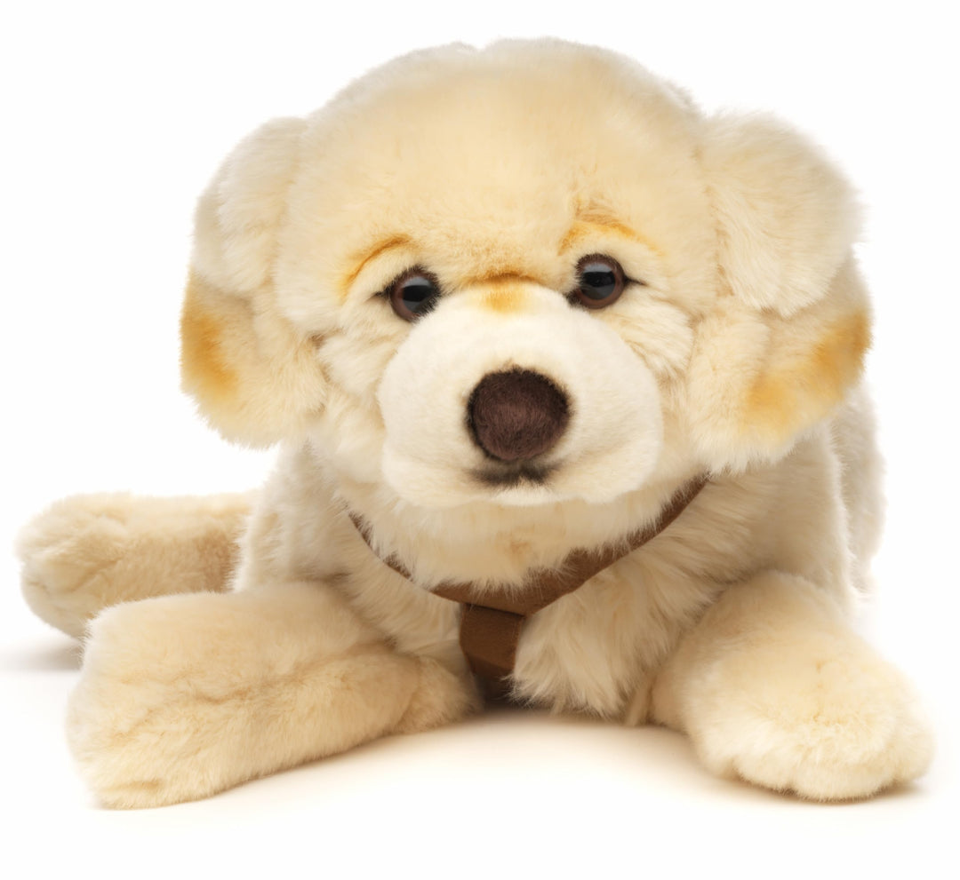 Uni-Toys - Golden Retriever, liegend - Mit Geschirr - 60 cm (Länge) - Plüsch-Hund - Plüschtier, Kusc