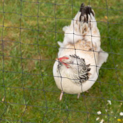 VOSS.farming 5 x 5m Geflügelschutznetz, Abdecknetz, Teichnetz, Vogelschutznetz, schwarz, Volieren Ne