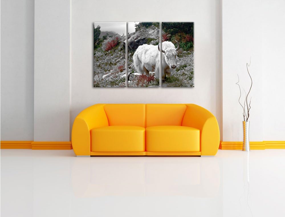 Pixxprint Schönes Yak Himalaya B&W Detail 3-Teiler Leinwandbild 120x80 Bild auf Leinwand