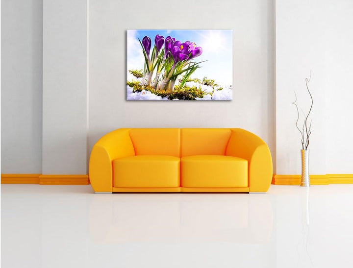 Pixxprint Kunst Frühling Flower Hintergrund / 100x70cm Leinwandbild bespannt auf Holzrahmen/Wandbild