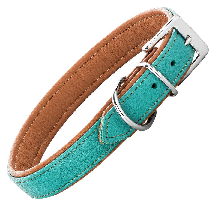 Schnüffelfreunde Lederhalsband Hund - Fun Line (XXL - 55-65cm, Türkis-Braun) XXL Türkis-Braun, XXL T