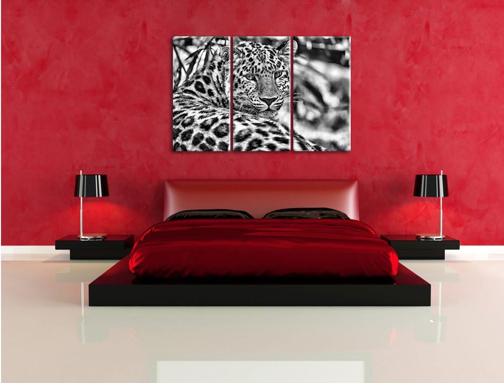 Pixxprint aufmerksamer Leopard im Schatten als Leinwandbild/Grösse: 3 Teilig (120x80) cm/Wandbild/Ku