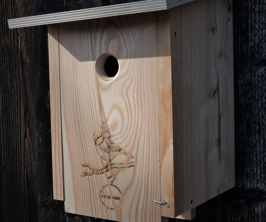 Premium Natur Lärchenholz Nistkasten unbehandelt nach Nabu, massives Vogelhaus Nisthilfe wetterfest