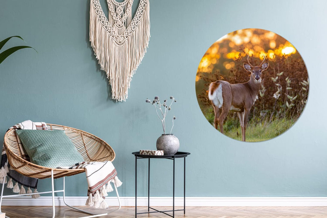 MuchoWow Wandbild Rund Wanddeko Deko Wohnzimmer Bilder 90x90 cm Hirsche - Pflanzen - Sonnenuntergang