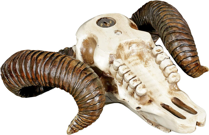 Pacific Giftware Wanddeko Widder Totenkopf mit Hörnern - Trophäe Baphomet Wandrelief Schädel Totensc