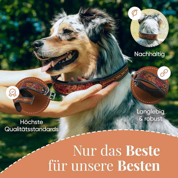 MICHUR Flora Hundehalsband Leder, Lederhalsband Hund, Halsband, SCHWARZ Rot Braun, Leder, mit roten