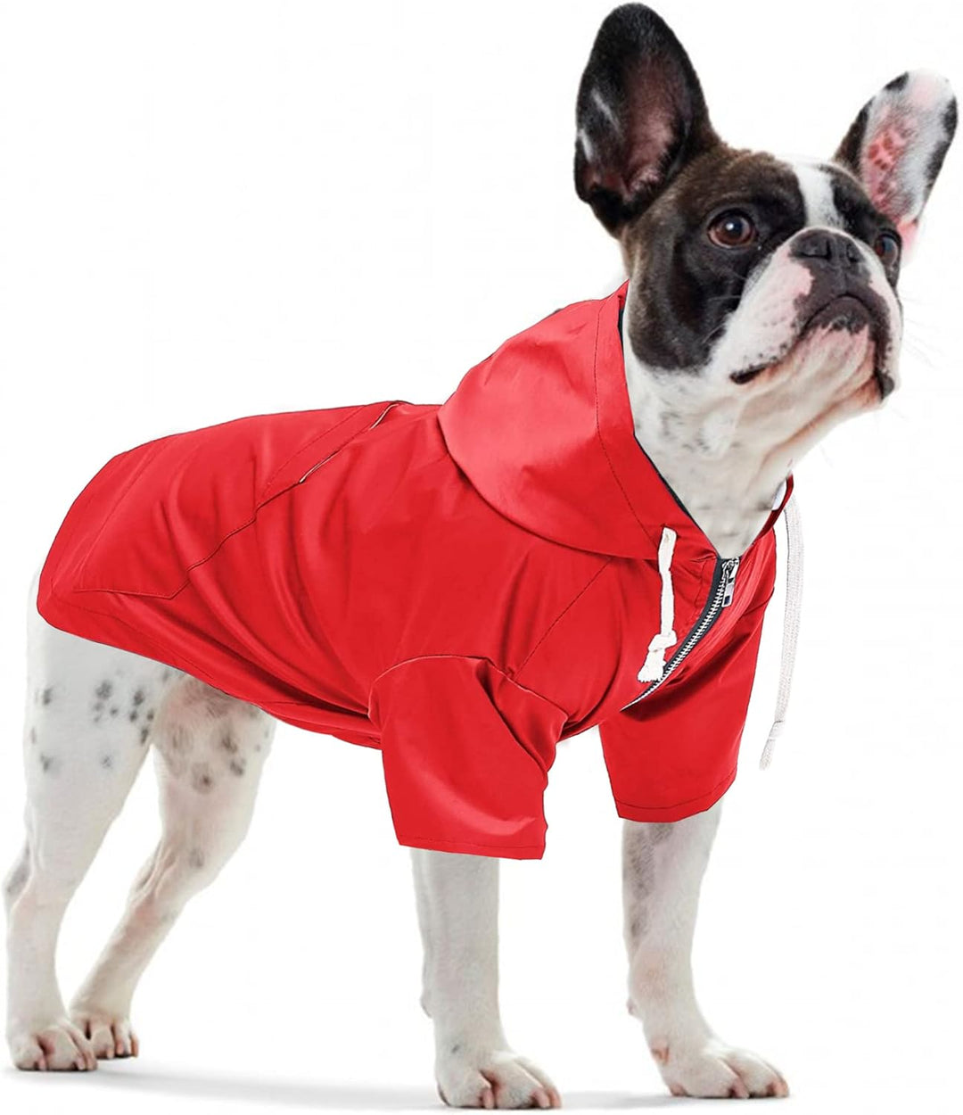 Pethiy Premium hunderegenmantel,Wasserdicht Hundemantel mit Kapuze Hundebekleidung Hunde Regenjacken